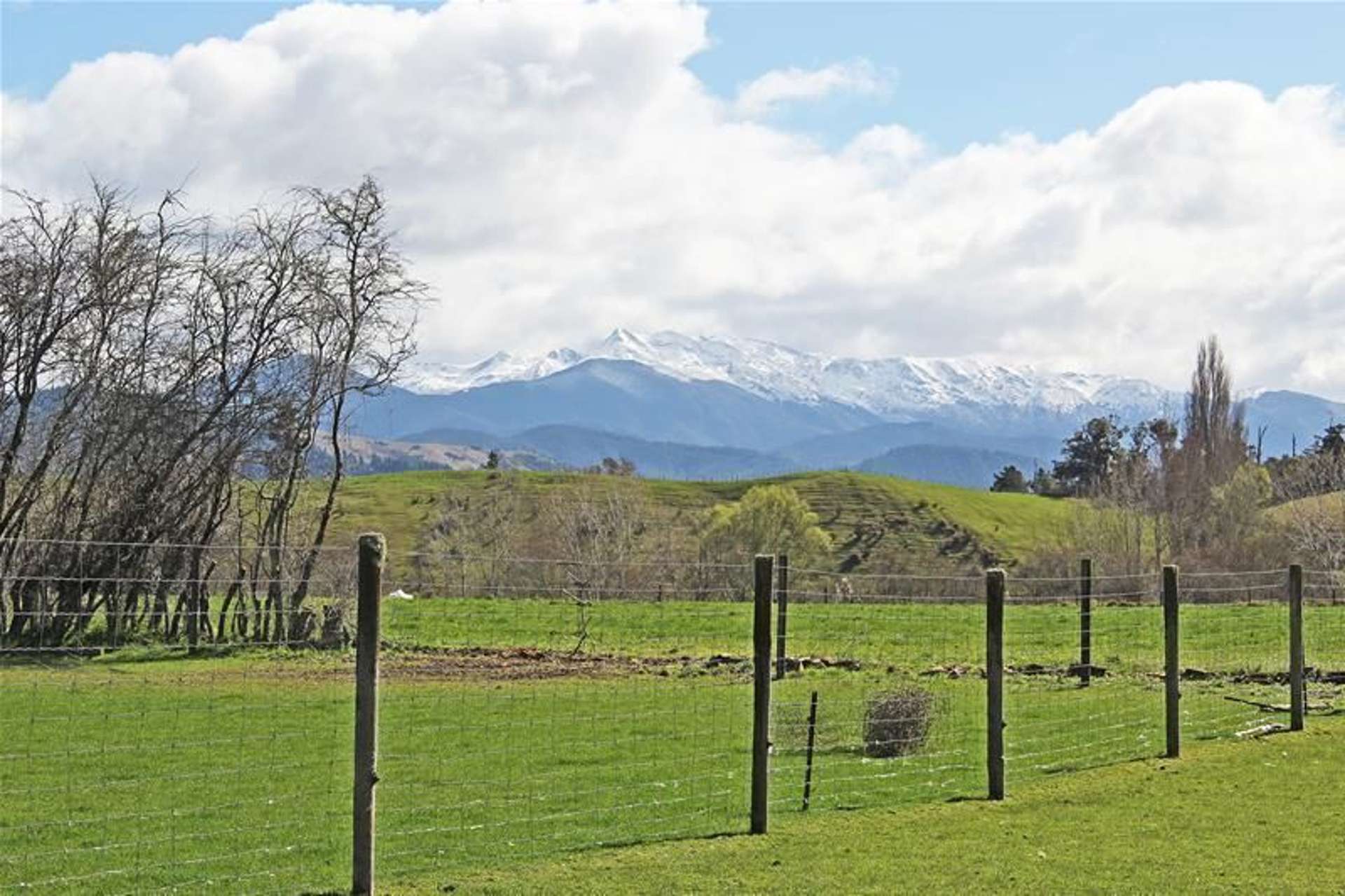 1105 Dovedale Road Dovedale_0