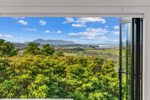 498 Cames Road Mangawhai_3