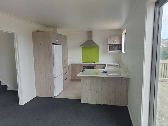 1/1 St Abbs Place North Dunedin_1