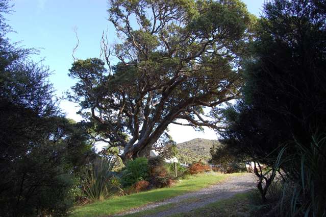 13 Workington Road Great Barrier Island (Aotea Island)_1