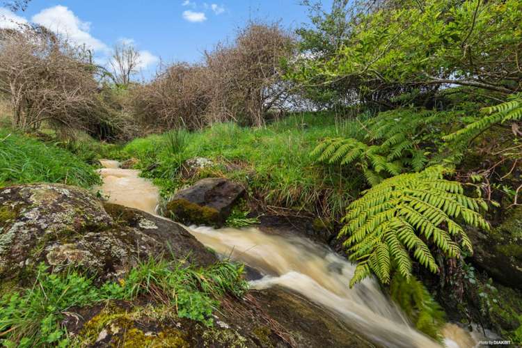 191 Andrews Road Onewhero_5