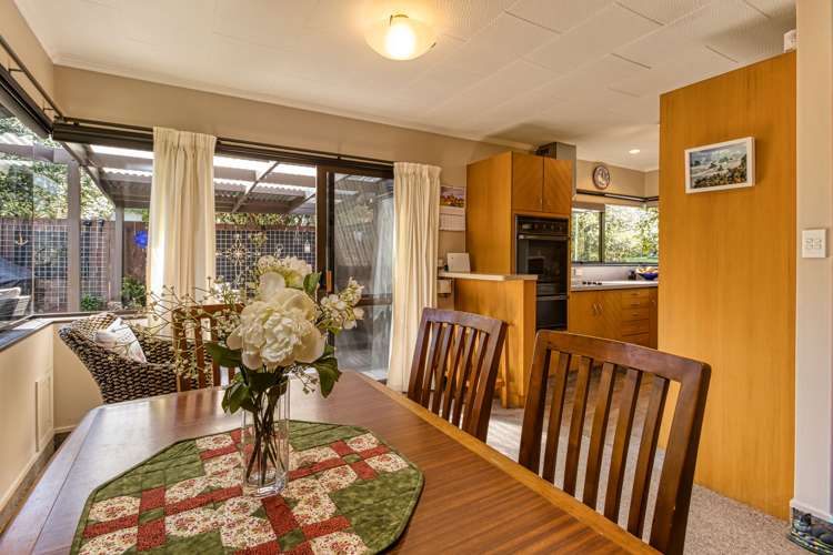 23 Tanner Street Havelock North_5