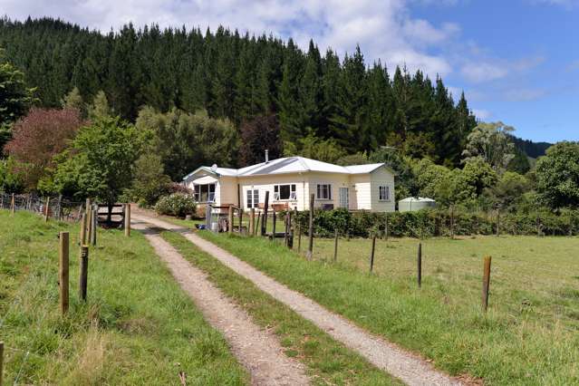 739 Tadmor-Glenhope Road Kahurangi National Park_1