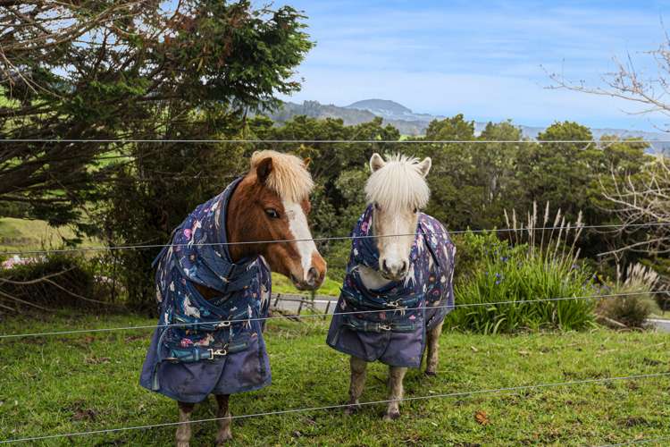 537 Maungakaramea Road Maungakaramea_17