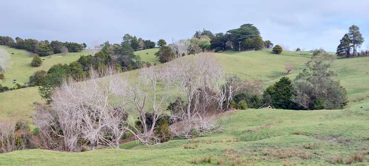 Lot/5 Wearmouth Road Paparoa_6