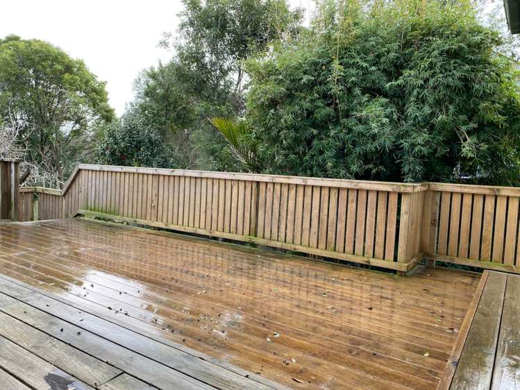 54 Cameron Street Onehunga_14