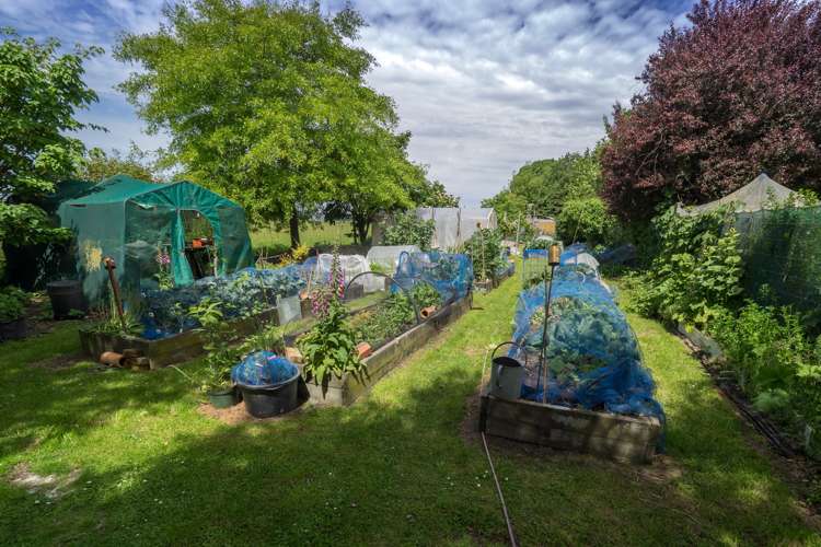 481 Moorhouse Road Mayfield_9