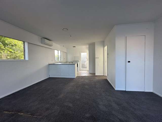 3/2 Ihaka Place 10695_4