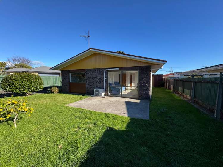  2/145 Tukapa Street Westown_1