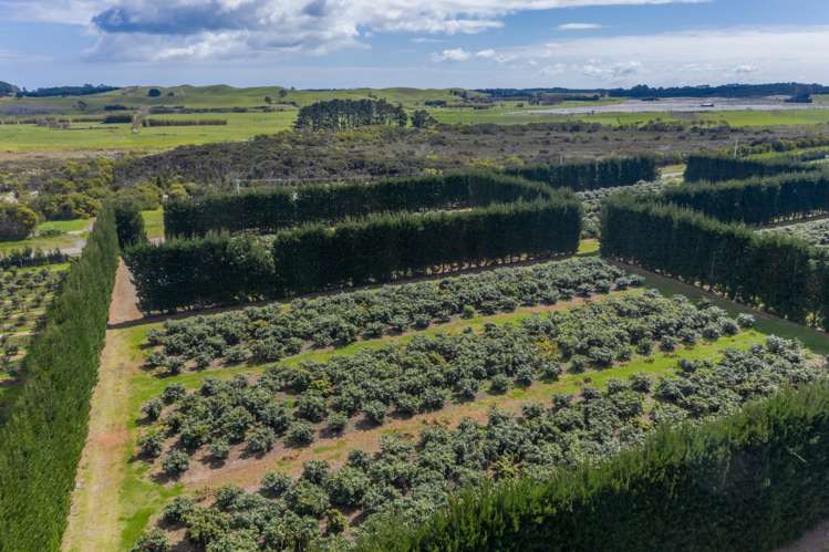 168 Heath Road Awanui_10