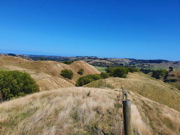 386 State Highway 4 Upokongaro_20