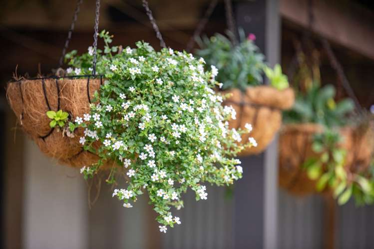 6 Colstone Street Glenview_26