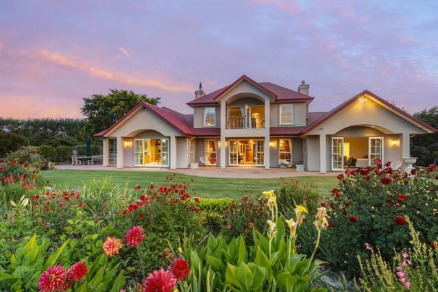 Vendors Downsized, Sale Required!