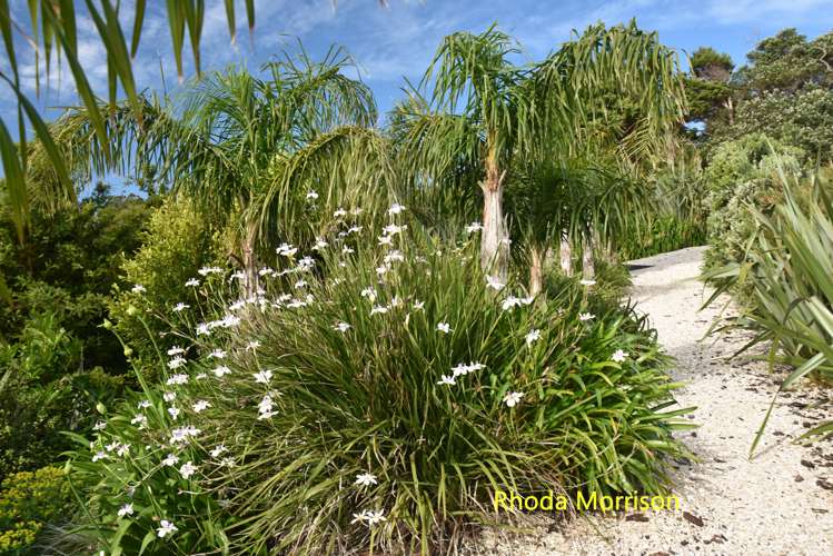 23 Te Wairoa Lane Tinopai_14