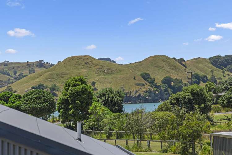 12 Park Drive Raglan_10