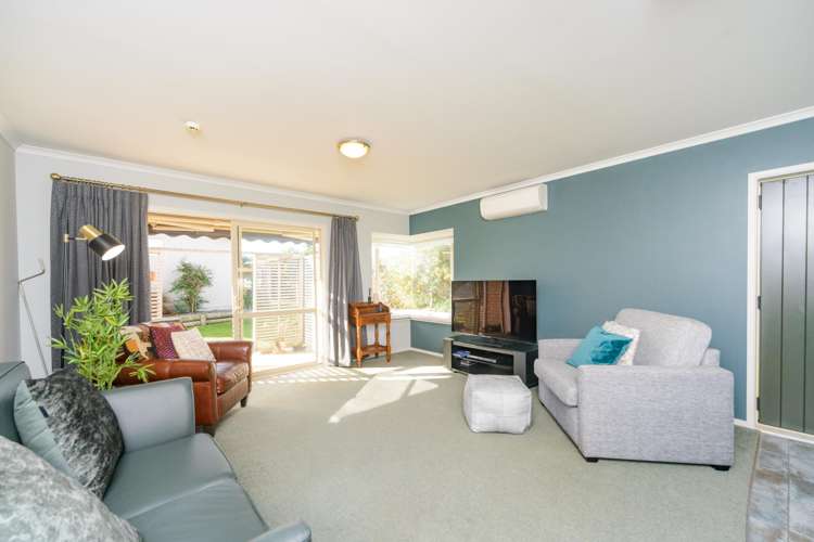 9 Foxtail Fern Kelvin Grove_6