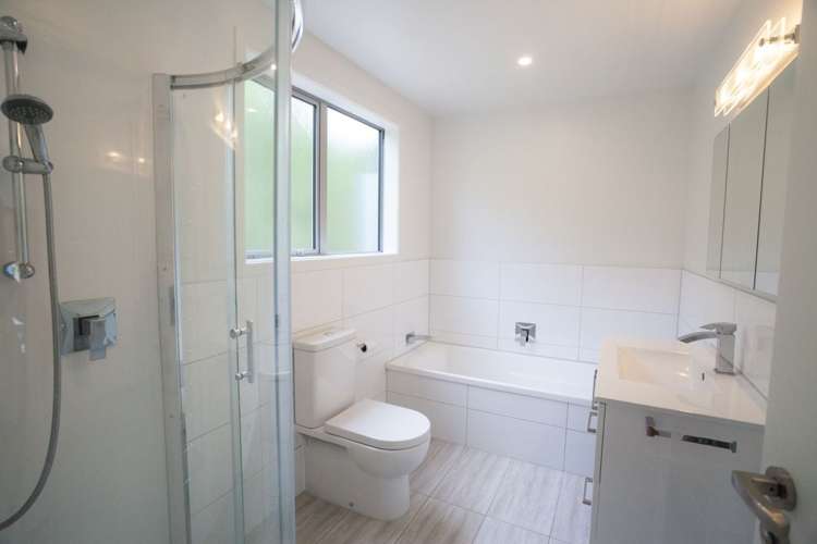 159D Lowes Road Rolleston_5