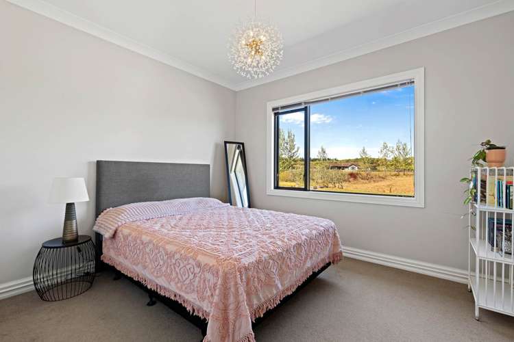 166J Postman Road Dairy Flat_16