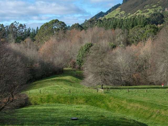 763 Paradise Valley Road Ngongotaha Valley_4