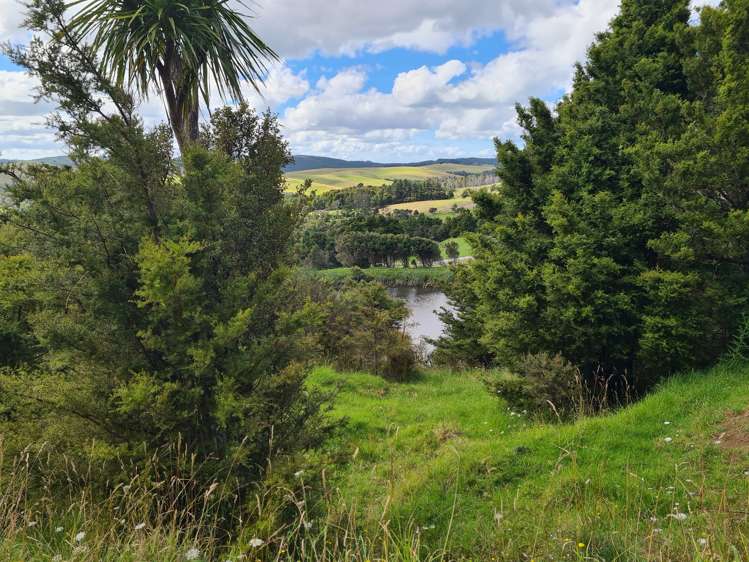 304 Arapaoa Road Tinopai_10