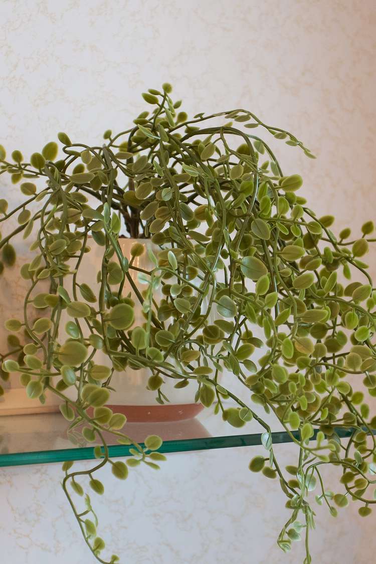 709 Main South Road Islington_17