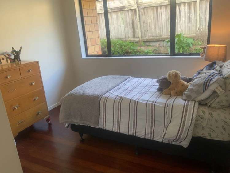 6 Pitoitoi Avenue Greenhithe_9