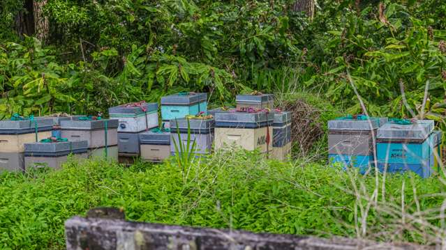 Lot 3/10 Kraack Road Warkworth_4