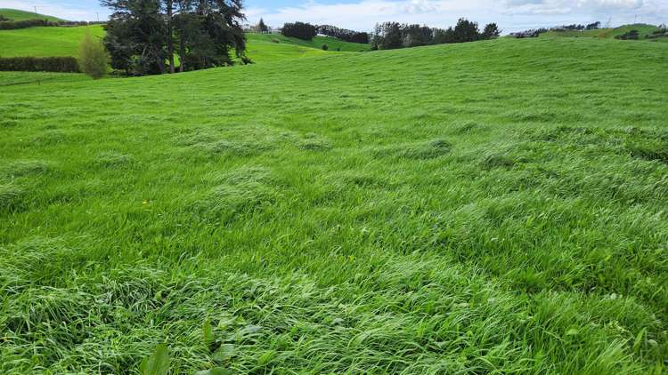 953 Upland Road Egmont Village_30