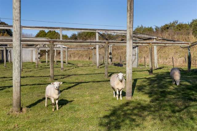 144 Blind Creek Road Tuamarina_4