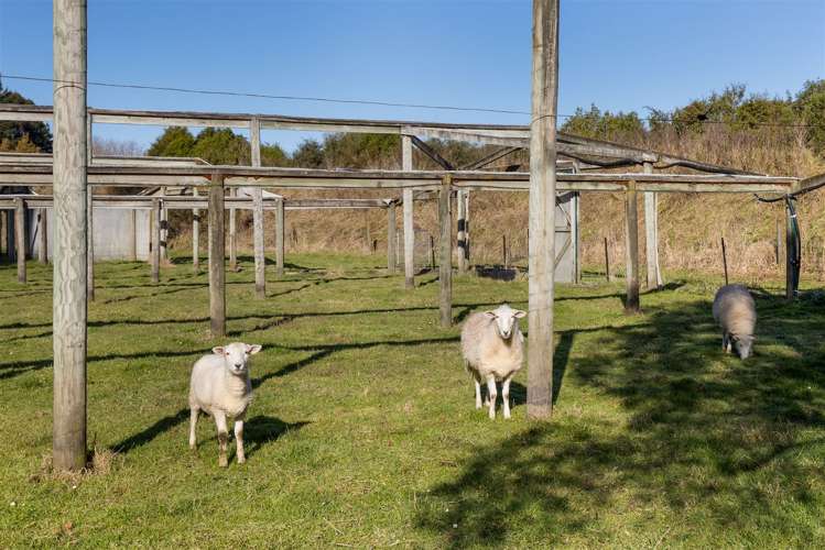 144 Blind Creek Road Tuamarina_4