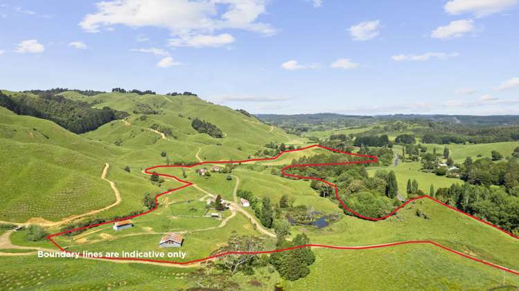 2806 Te Anga Road Te Anga_12