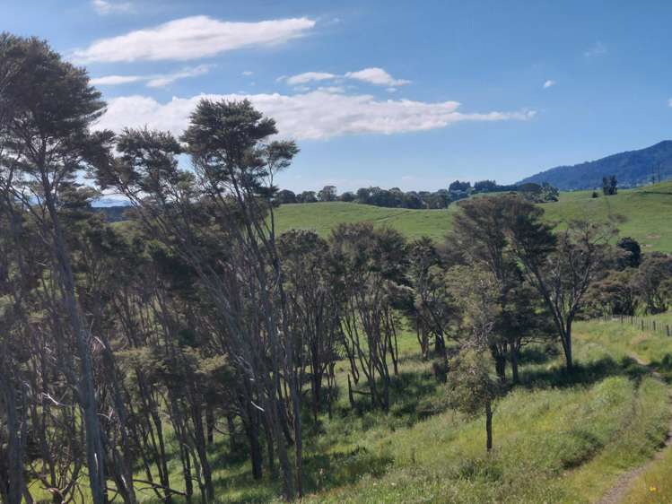 74 Kanuka rise Kopu_10