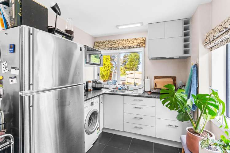 44 Larnach Road Waverley_20