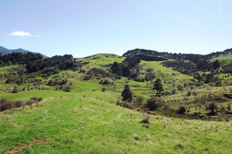 238 Waimaori Road Raglan_8