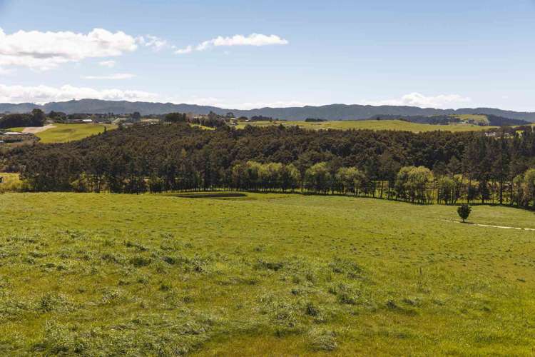 10 Wallbank Way Mangawhai_9