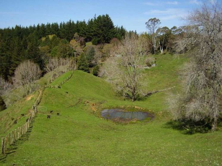 673 Hokoroa Road Tolaga Bay_6