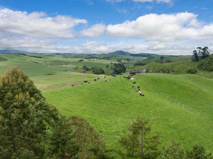 196 Waimanu Road Pukeatua_5