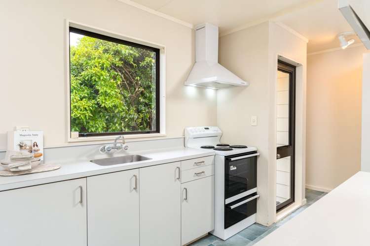 32d Shanly Street Brown Owl_1