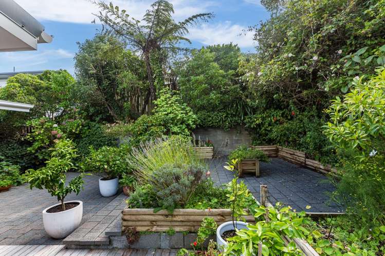 5 Christina Grove Normandale_8