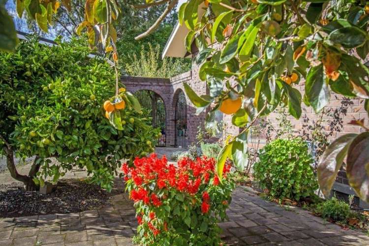 52 Manuka Street Masterton_15