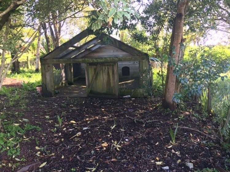 349 Postman Road Dairy Flat_17