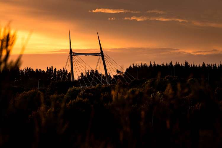 20 Goodfellow Lane Flat Bush_6