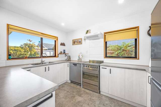 10 Pony Lane Spreydon_3