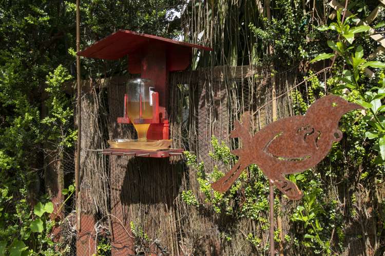 220 Ohauiti Road Ohauiti_15