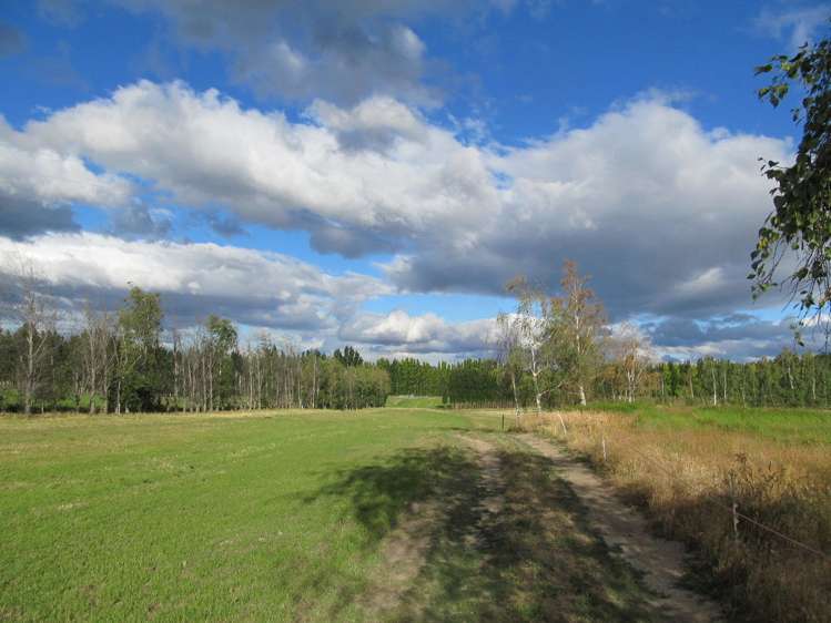 Blackman Road Alexandra_5