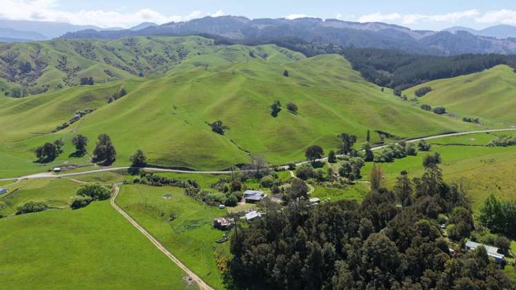 915 Thorpe-Orinoco Road, Dovedale Ngatimoti_48