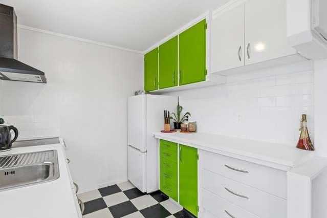 5 Dunlop Crescent Te Aroha_1