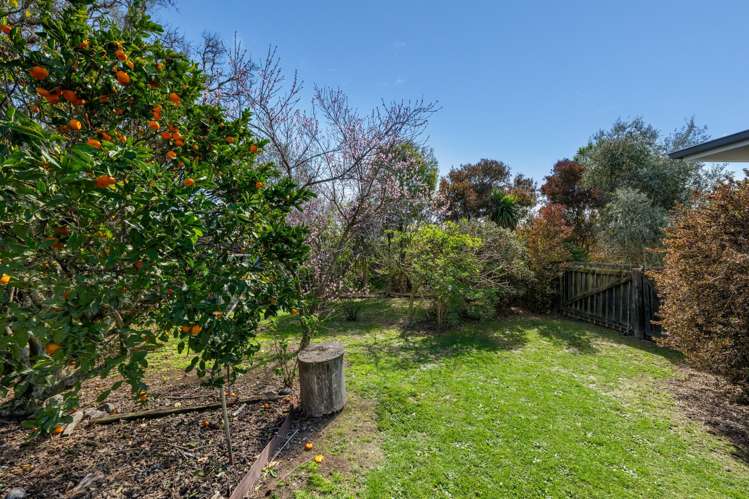 7A Corry Crescent Witherlea_22