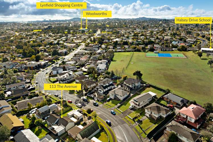 113 The Avenue Lynfield_13