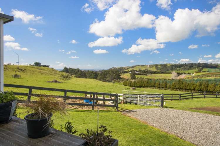 349A Whakamarama Road Whakamarama_18